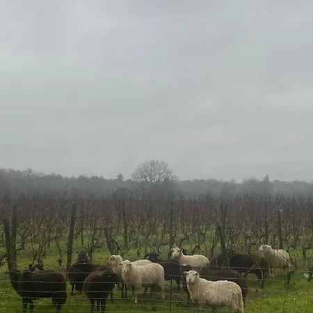 La Petite Maison De Savennieres