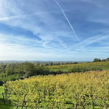 Semesterbostad La Petite Maison De *